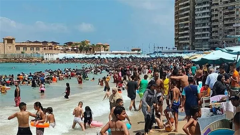 شواطئ الأسكندرية كاملة العدد