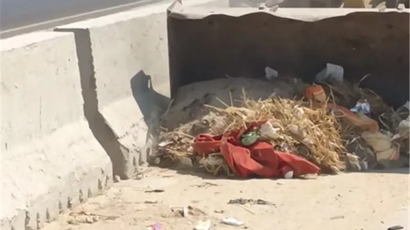 رفع 7600 طن قمامة من الإسماعيلية خلال اسبوع