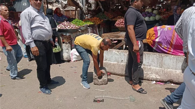مرافق الدقهلية تشن حملة مكبرة لازالة التعديات بنطاق حى شرق المنصورة