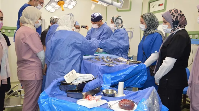 اطفال المنصورة تجري استئصال ورم للطفلة المعروفه إعلاميا بـ