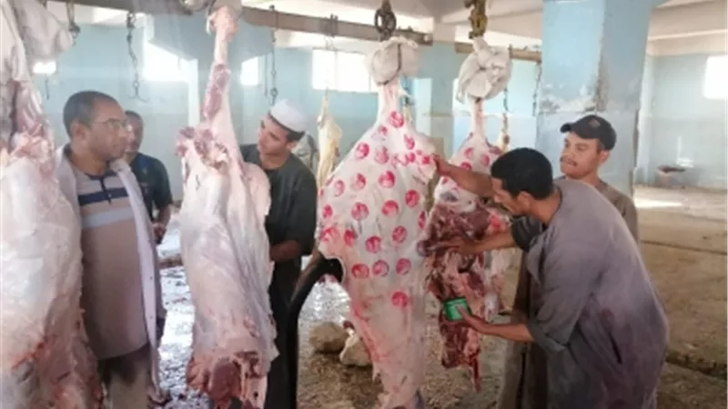 مدير الطب البيطرى بالأقصر يتفقد مجزر إسنا الآلى لمتابعة أعمال الذبح