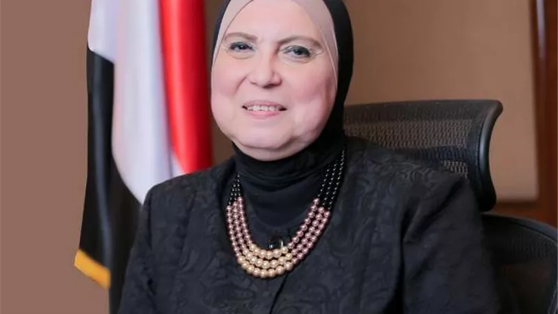 نفين جامع تصدر قراراً بإعادة تشكيل مجلس الاعمال المصري الأسبانى