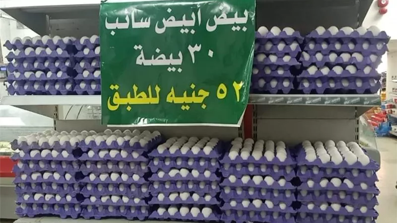 تخفيض ١٠ جنيهات فى سعر طبق البيض ببنى سويف