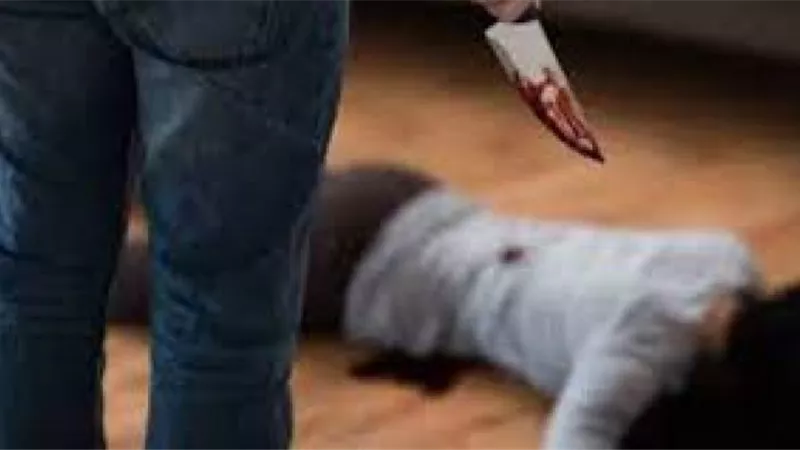 الداخلية تلقي القبض على قاتل فتاة الشرقية