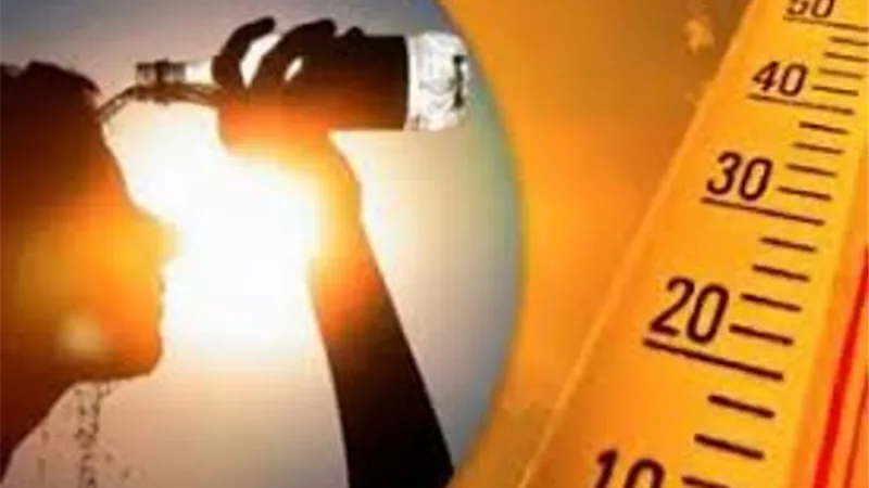 الطقس حار رطب .. والعظمى بالقاهرة 34