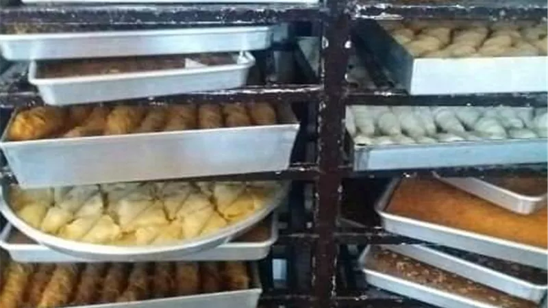 غلق 25 منشأة غذائية وإعدام (9) طن مواد غذائية غير صالحة للإستخدام الآدمى بالشرقية