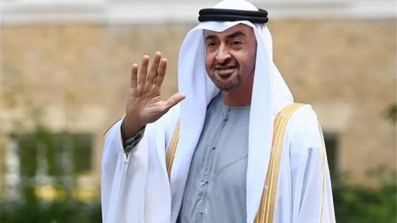 وزير الخارجية السويسرى يتسلم رسالة خطية من رئيس الإمارات