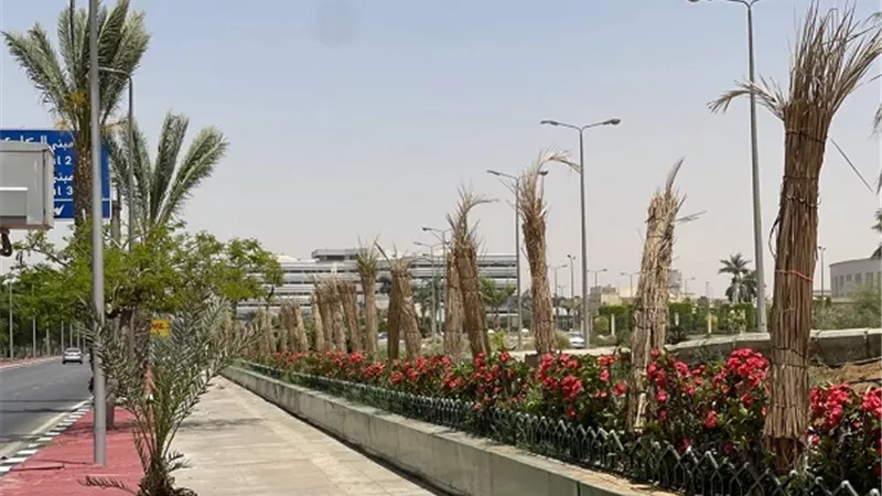 تطوير شبكة الطرق وزيادة المساحات الخضراء بمطار القاهرة