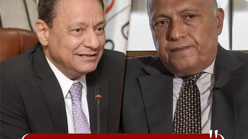 وزير الخارجية ورئيس الأعلى للإعلام يشهدان إطلاق أكبر برنامج لتدريب الإعلاميين الأفارقة