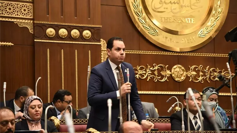 النائب أحمد فوزى: التعديلات الوزارية مهمة فى طريقنا إلى الجمهورية الجديدة