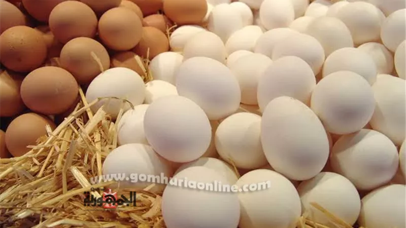 أسعار البيض اليوم الأحد 14-8-2022