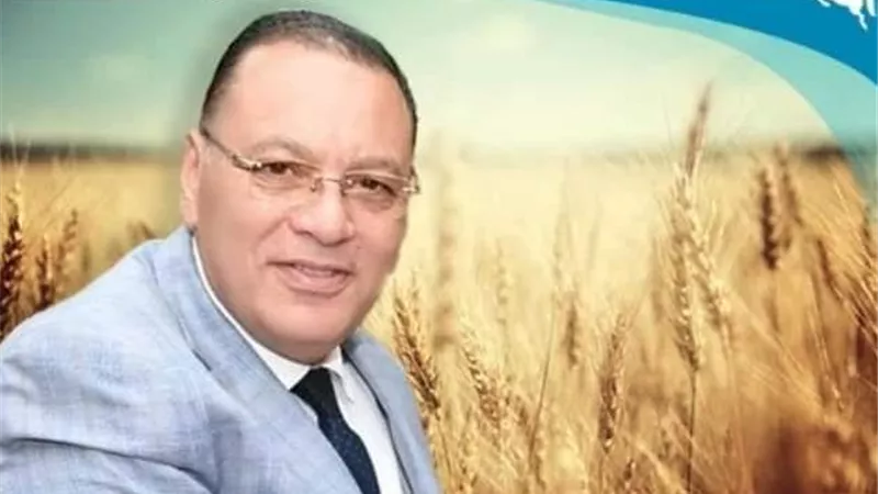 إستمرار توريد الذهب الأصفر لصوامع وشون محافظة الشرقية
