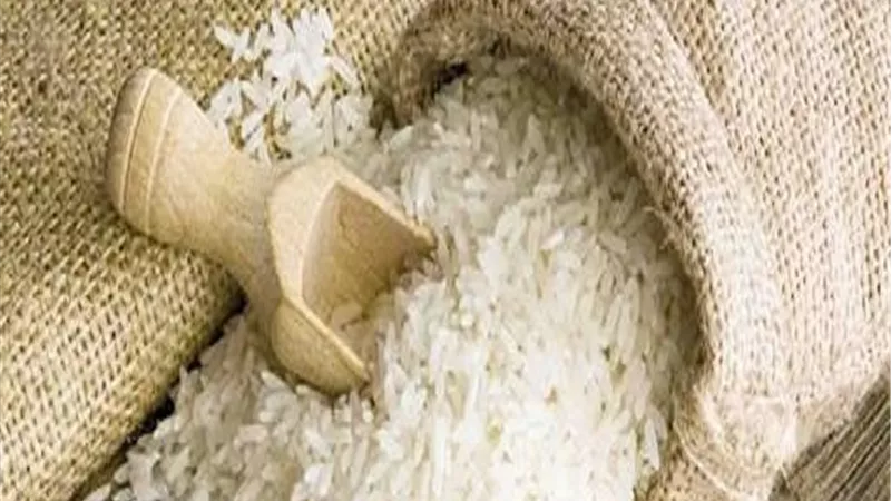 2000 جنيه انخفاضا في طن الأرز.. وتوقعات بمواصلة الهبوط خلال الأيام المقبلة