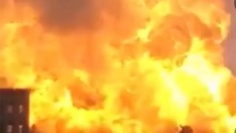 الجيش الجزائرى يتدخل لإطفاء حريق هائل فى إحدى الغابات