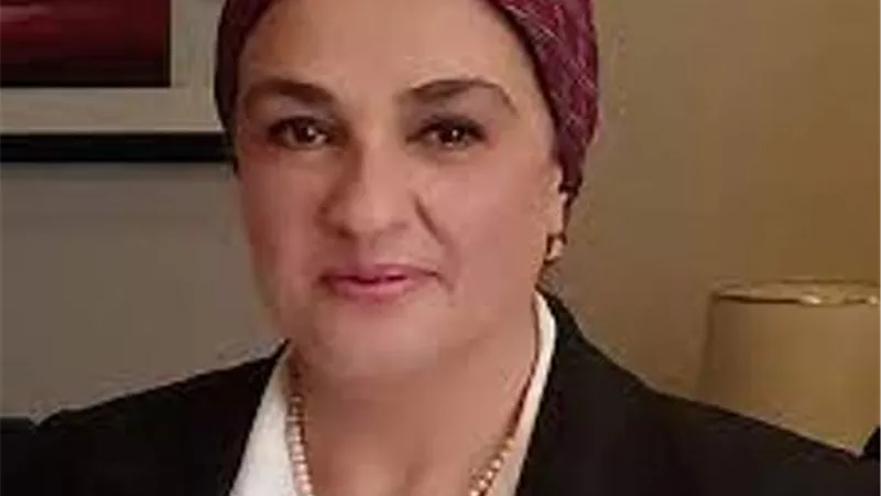 النائبة سميرة الجزار تثني علي خطط الحكومة لترشيد استهلاك الكهرباء