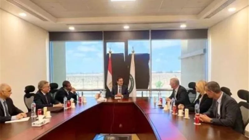 مصر تسعى للاستفادة من خبرات 