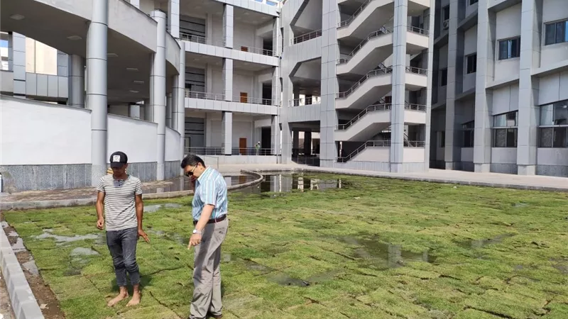 رئيس جامعة دمياط يتابع أعمال المساحات الخضراء الجديدة