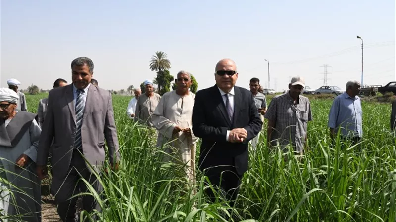 محافظ قنا يتابع نموذج لزراعة قصب السكر بنظام الشتل بالأنسجة بقرية المخادمة