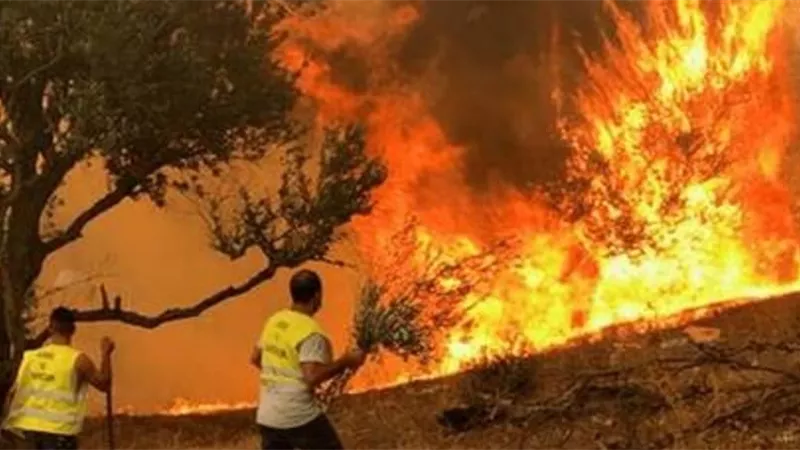 حصيلة ضحايا حرائق الجزائر ترتفع إلى 38 قتيلا