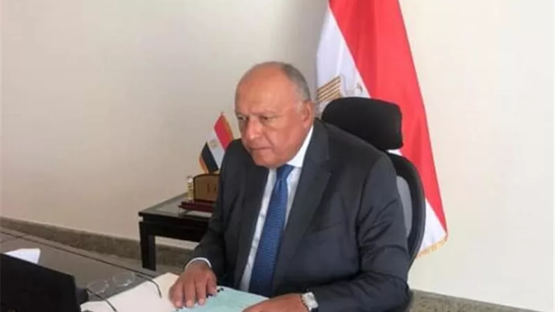 وزير الخارجية يلقي كلمة خلال الاجتماع الوزاري التنسيقي لمُنتدى التعاون الصيني- الإفريقي
