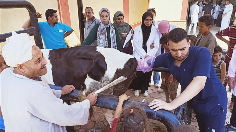 محافظ أسيوط: استمرار فاعليات الحملة القومية الثانية للتحصين ضد الحمى القلاعية
