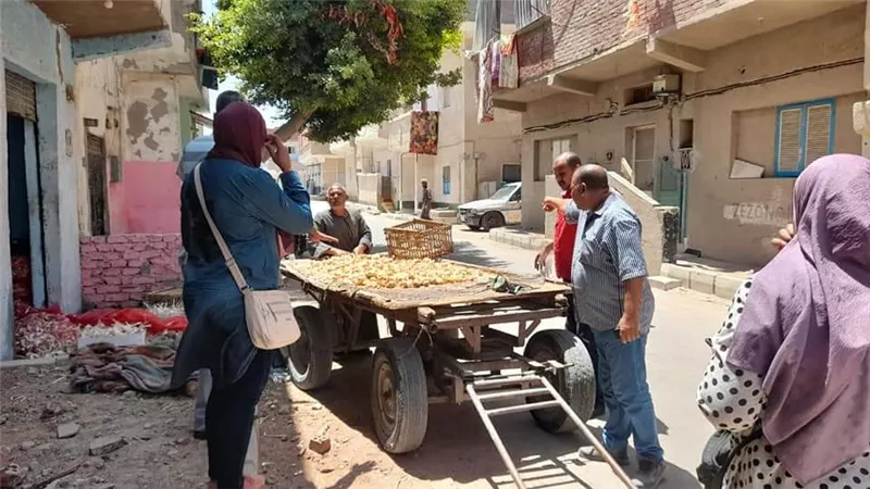 لجنة متكاملة لرفع الاشغالات بالميادين والشوارع بالقصير