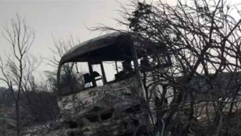 حرائق الجزائر المروعة.. ضبط 3 أشخاص أضرموا النار عمدا