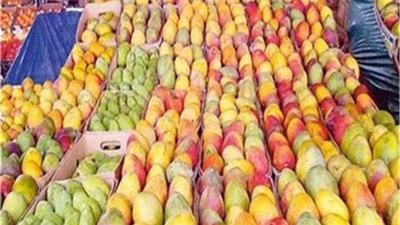 35 جنيها للعويسي و8 للزبدية.. تعرف على أسعار المانجو.. فيديو