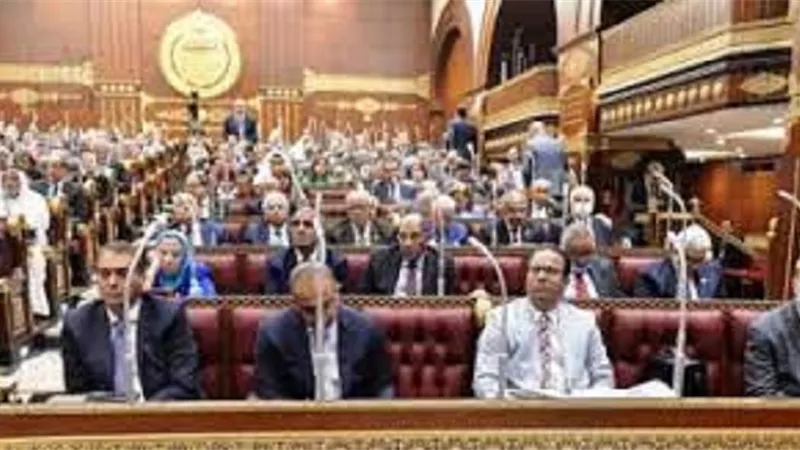 عضو مجلس الشيوخ: نتطلع لسياسات مالية تواجه التقلبات العالمية