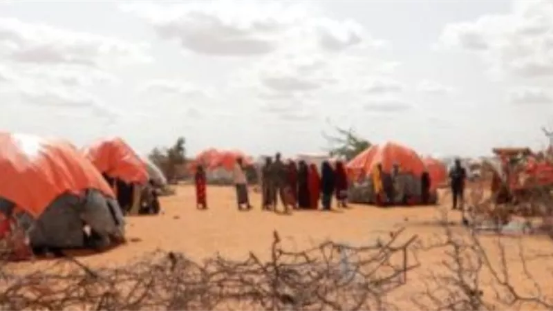 وزير الخارجية الصومالى يدعو إلى تسريع المساعدات الإنسانية وبرامج التنمية لبلاده