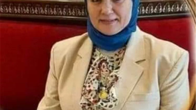 وزير المالية يستعرض جهود تنمية الوعى الجمركي.. ويؤكد: إصدار ونشر «الدليل الجمركى للاستيراد والتصدير»..