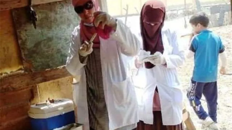 بيطرى الشرقية يُحصن 337 ألفا رأس ماشية للوقاية من مرض الحمى القلاعية