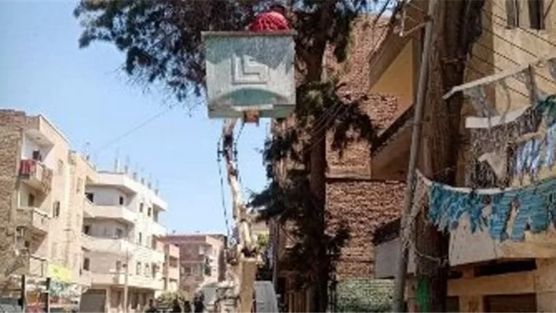 حملات لزراعة الأشجار المثمرة وخفض الإنارة بأعمدة الكهرباء بالطرقفى الشرقية