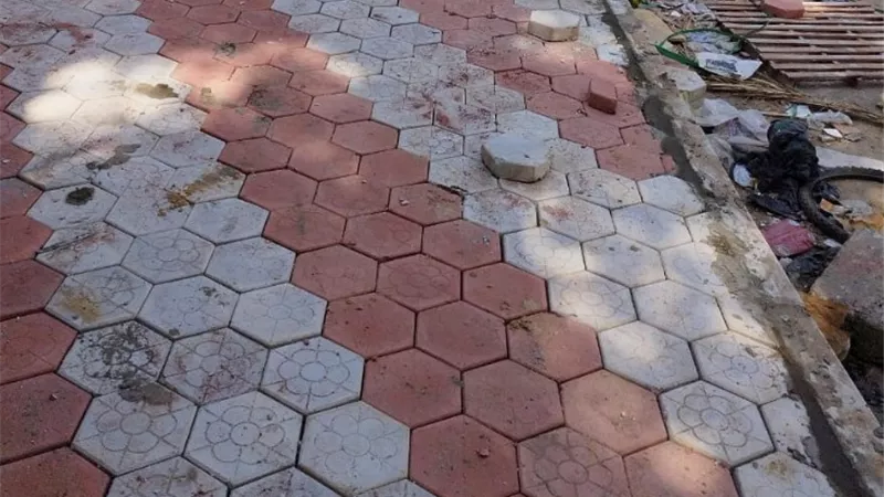 محافظ أسيوط: حملات نظافة وتجميل بشوارع منطقة الازهر بحي شرق