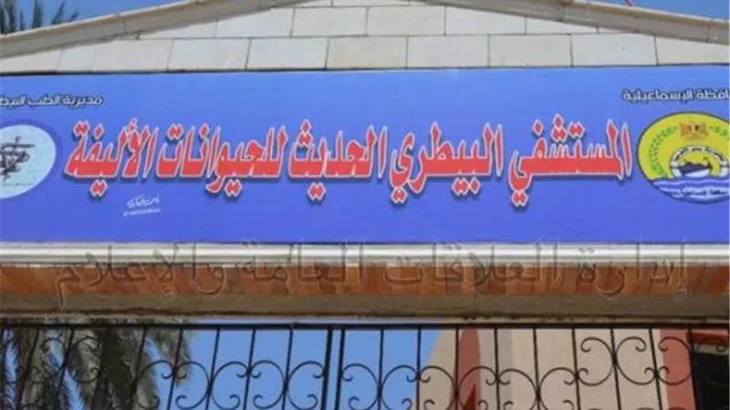 عيادات وغرف عمليات بأول مستشفى بيطري للحيوانات الأليفة في الإسماعيلية ..صور