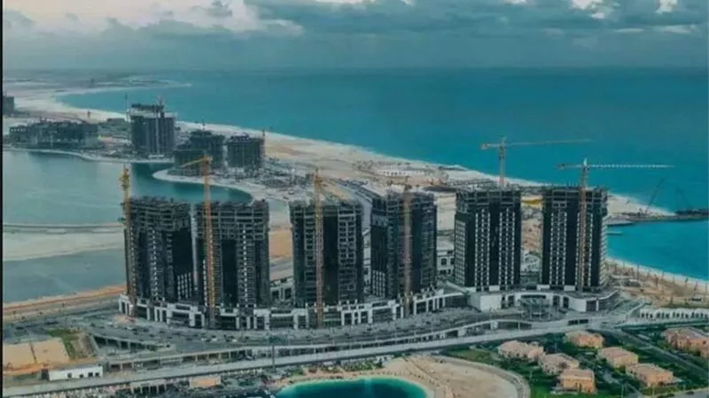 محمد حجازي: مصر حولت العلمين من مرتعًا للألغام إلى موطنًا للاستثمار العربي