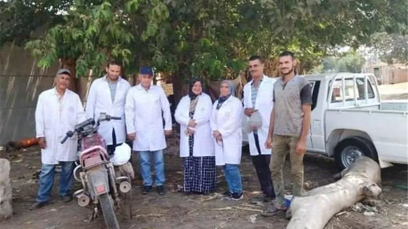 بيطرى الشرقية يُحصن 389 ألفا رأس ماشية للوقاية من مرض الحمى القلاعية