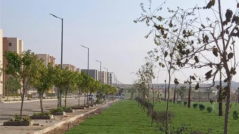 جهاز حدائق أكتوبر ينفذ خطة ترشيد الطاقة بالتوسع في التشجير والمساحات الخضراء