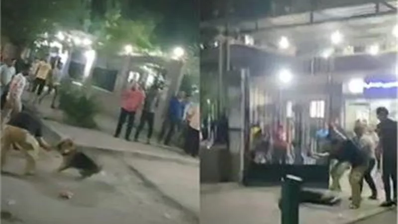 تفاصيل فيديو التعدي على طبيب بـ«كلب شرس» داخل مستشفى في حلوان
