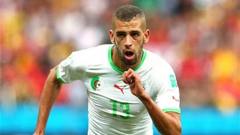 رسميا .. إسلام سليمانى ينضم إلى بريست الفرنسى
