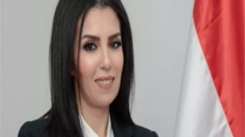 سها سعيد تطالب بتسهيل عملية اندماج الأحزاب السياسية.. فيديو