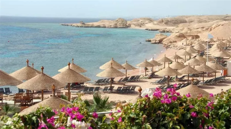 مبادرة ادعم سياحة بلدك تنظم احتفالية كبرى يوم 27 سبتمبر المقبل بالغردقة