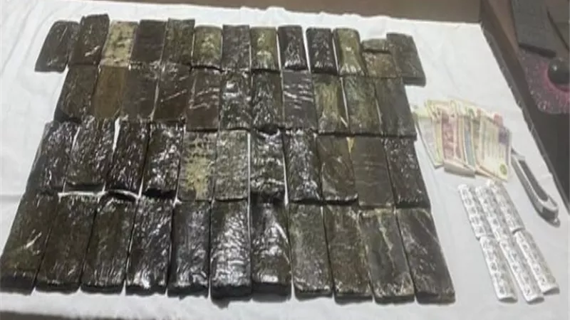 خلال حملة مكبرة.. الداخلية تضبط تجار الكيف في المحافظات