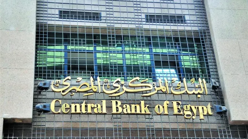 الدكتور محمود أبو العيون: البنك المركزي له قدرة كبيرة في السيطرة على التضخم ووضع اقتصاد مصر جيد