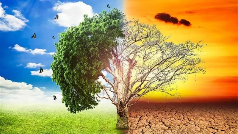 التغيرات المناخية.. كارثة تهدد الكرة الأرضية