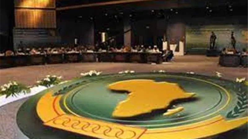 الاتحاد الإفريقي: اكتمال نصاب الدول المصادقة على إنشاء وكالة الأدوية الإفريقية