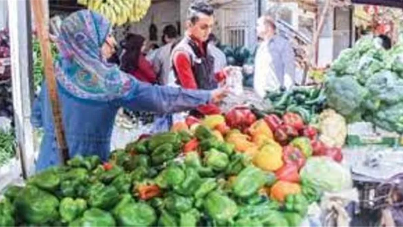 ننشر الأسعار الإسترشادية للخضر والفاكهة بالإسماعيلية