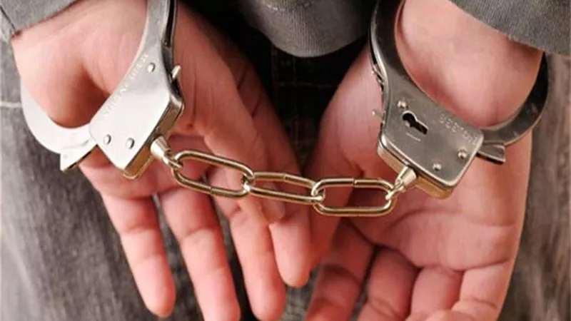 القبض على هارب من 87 سنة سجن.. وسيدة هاربة من غرامات بـ7 ملايين جنيه