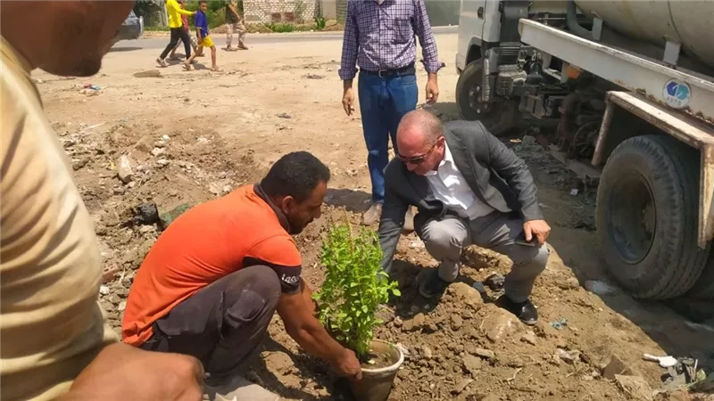 محليات المنيا تواصل تنفيذ المبادرة الرئاسية لزراعة 100 مليون شجرة
