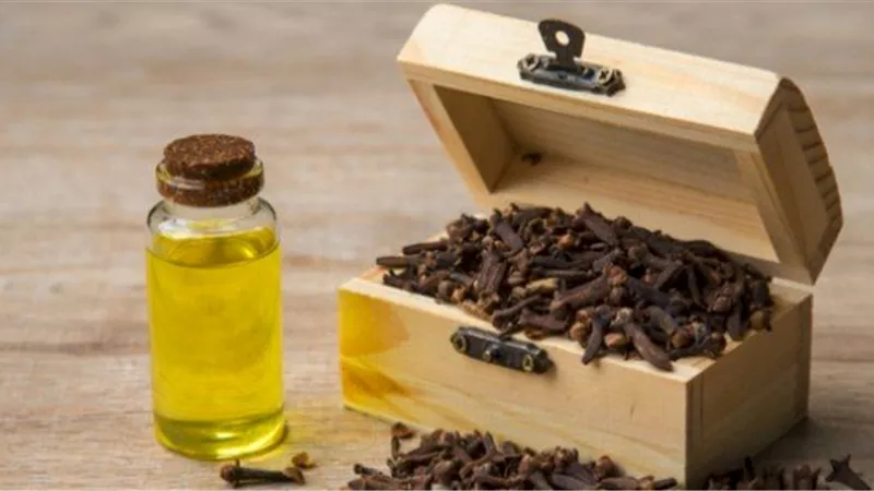 فوائد زيت القرنفل للبشرة